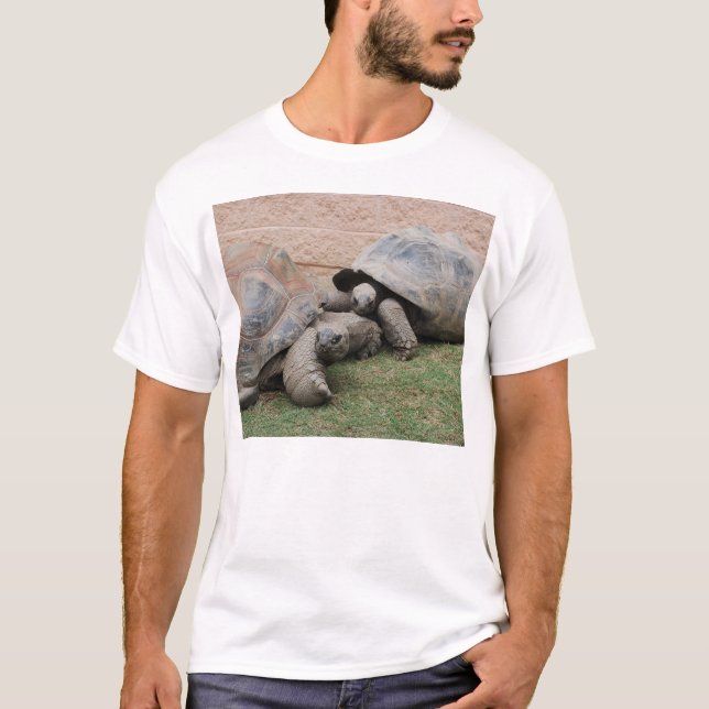 giant tortoises T-Shirt (Front)