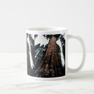 Giant Trees - Sequoia National Park Coffee Mug
