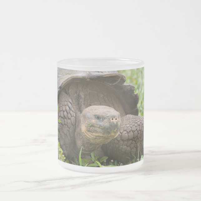 Giant turtle frosted glass coffee mug (Center)