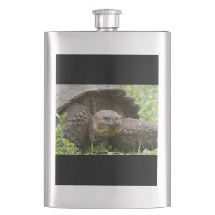 Giant turtle hip flask