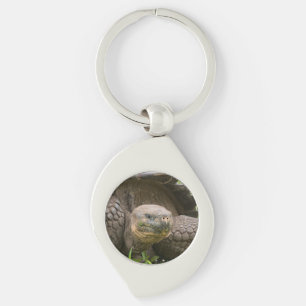 Giant turtle key ring