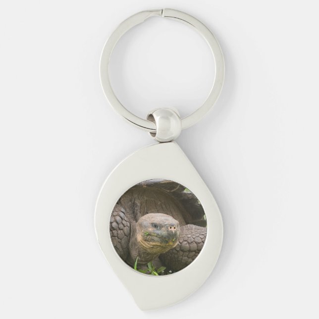 Giant turtle key ring (Front)