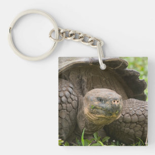 Giant turtle key ring