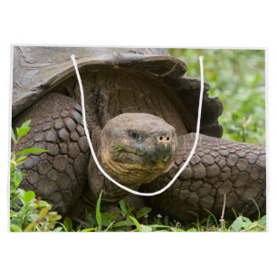 Giant turtle large gift bag