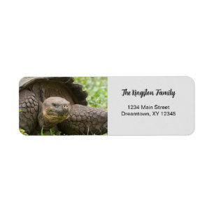 Giant Turtle photo personalised Return Address