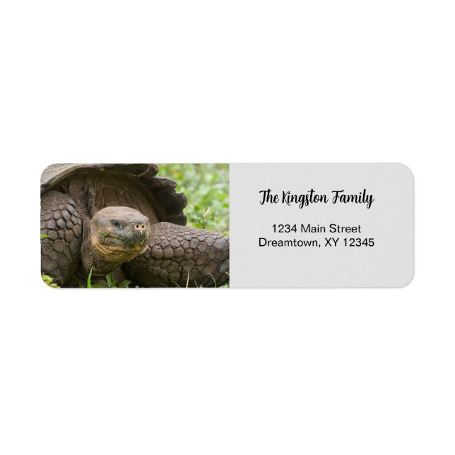 Giant Turtle photo personalised Return Address (Front)