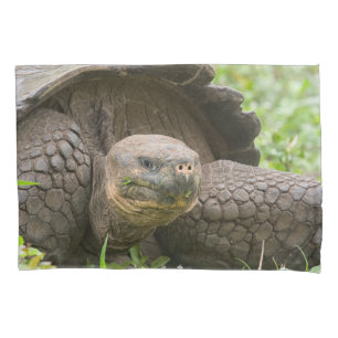 Giant turtle pillowcase