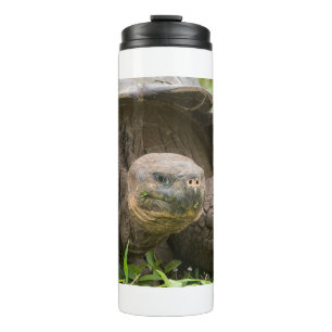 Giant turtle thermal tumbler
