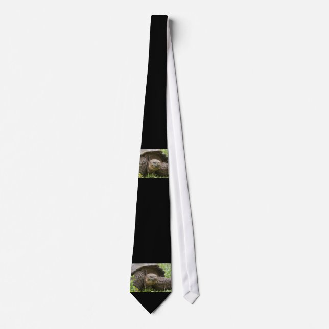 Giant turtle tie (Front)