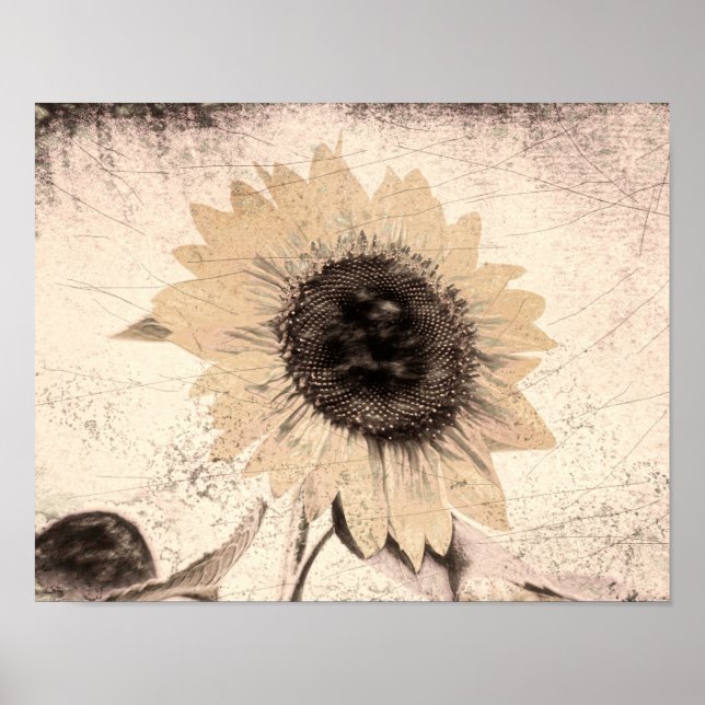 Giant Vintage Sunflower Sepia Brown Yellow Texture Poster (Front)