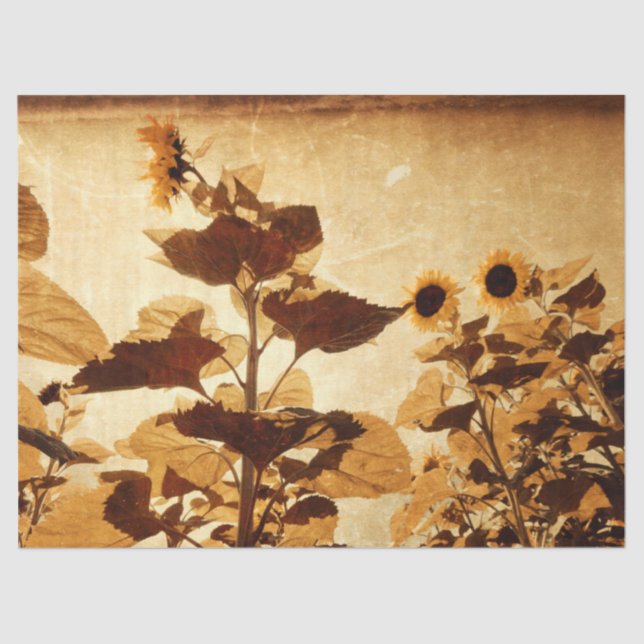 Giant Vintage Sunflowers Sepia Decoupage Art Tissue Paper (Front)