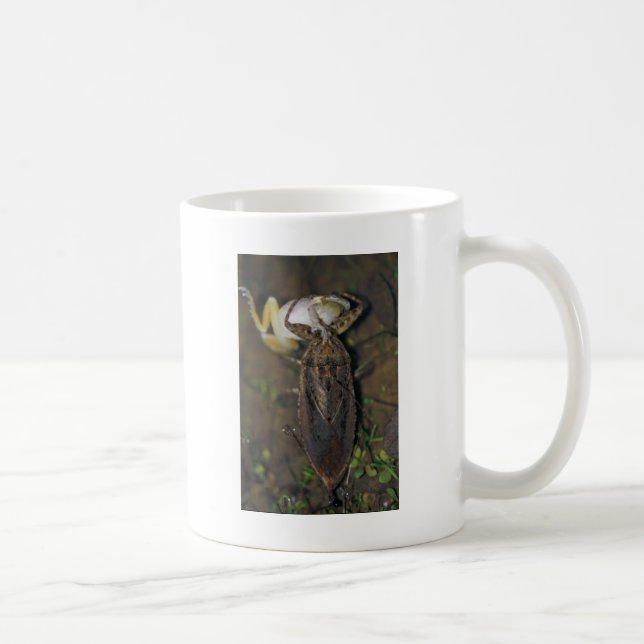 Giant Water Bug Eating Frog Coffee Mug (Right)