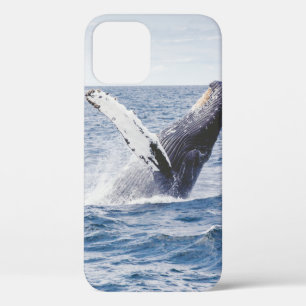 Giant Whale Jumps Out Of Ocean iPhone 12 Case