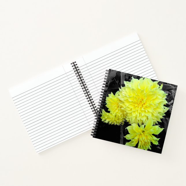 Giant Yellow Dahlias Notebook (Inside)