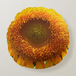 Giant yellow mammoth sunflower photo round cushion