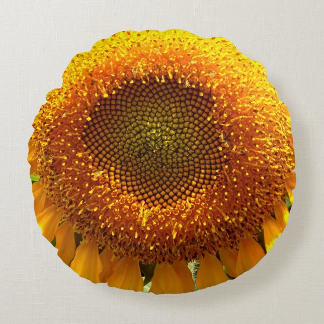 Giant yellow mammoth sunflower photo round cushion (Front)