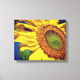 Giant Yellow Sunflower And Insect Friend Canvas Print