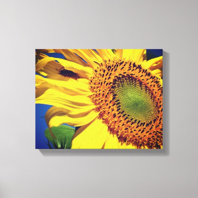 Giant Yellow Sunflower And Insect Friend  Canvas Print (Front)