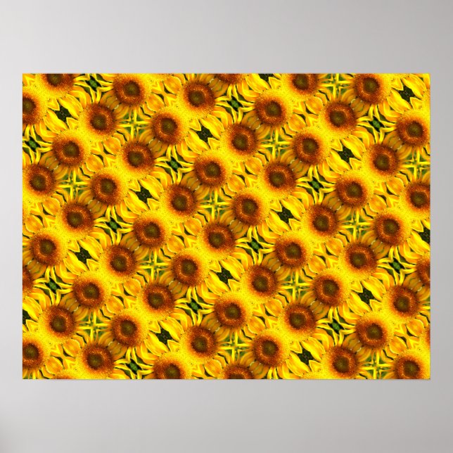 Giant yellow  Sunflower pattern  Poster (Front)