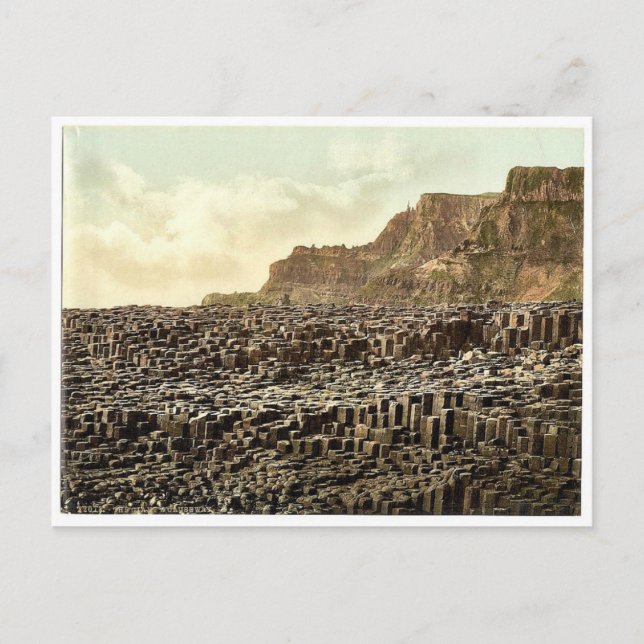 Giant's Causeway. Co. Antrim, Ireland classic Phot Postcard (Front)