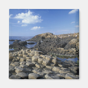 Giants Causeway, County Antrim, Northern Magnet