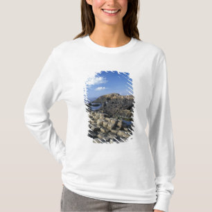 Giants Causeway, County Antrim, Northern T-Shirt