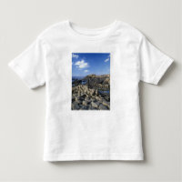 Giants Causeway, County Antrim, Northern
