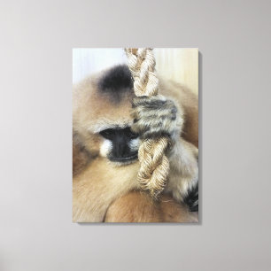 GIBBON CANVAS PRINT