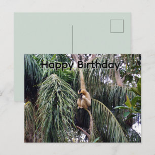 Gibbon Just Hanging Around, Birthday Postcard