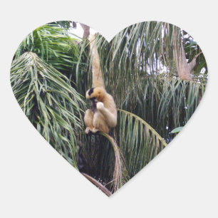 Gibbon Just Hanging Around, Heart Sticker