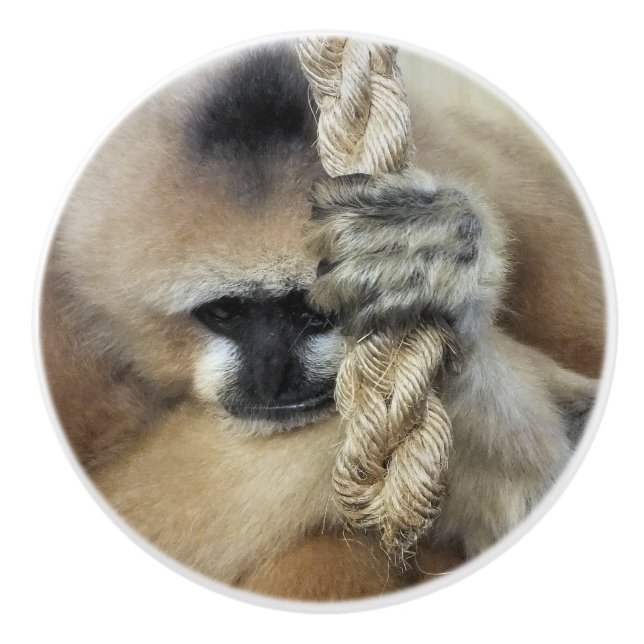 GIBBON MONKEY CERAMIC KNOB (Front)