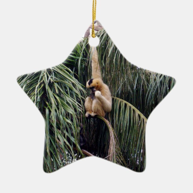 Gibbon Monkey Just Hanging Around, Ceramic Tree Decoration (Front)