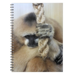 GIBBON NOTEBOOK