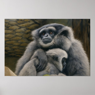 Gibbon Shelter – Emotional Wildlife Portrait Poster