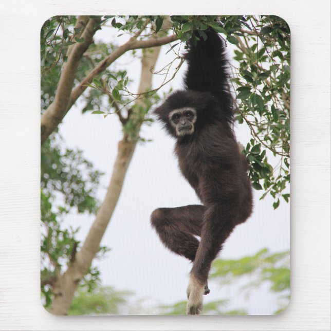 Gibbon Swinging from Tree Mouse Mat (Front)