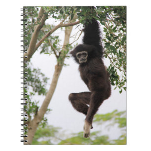 Gibbon Swinging from Tree Notebook