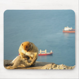 Gibraltar Barbary ape Mouse Mat
