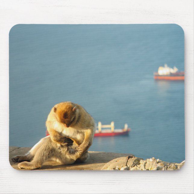 Gibraltar Barbary ape Mouse Mat (Front)