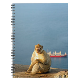 Gibraltar Barbary ape Notebook