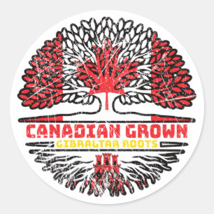 Gibraltar Gibraltarian Canadian Canada Tree Roots Classic Round Sticker