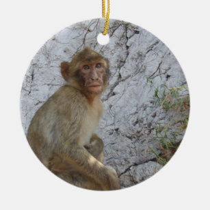 Gibraltar Monkeys ornament