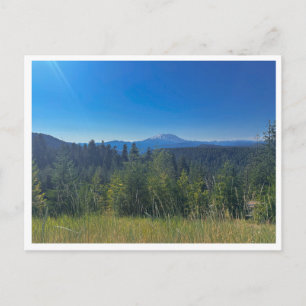Gifford Pinchot National Forest Postcard