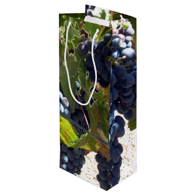 Gift Bag - Grapes on vine (Back Angled)