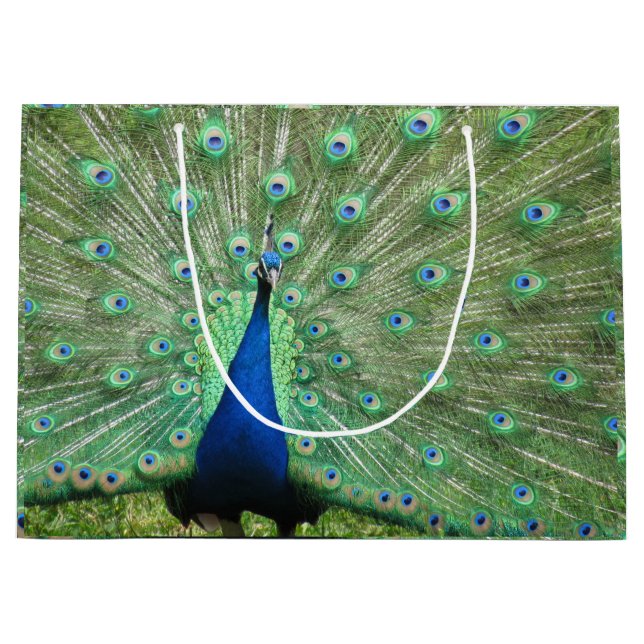 Gift Bag (Lrg) - Proud Peacock (Front)