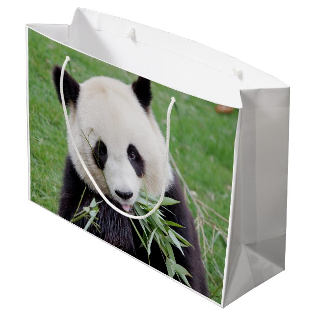 Gift Bag Photo giant panda , animals 0184. (Back Angled)