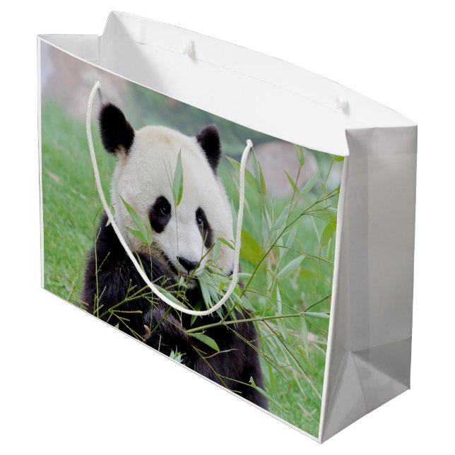 Gift Bag Photo giant panda , animals 0185. (Back Angled)