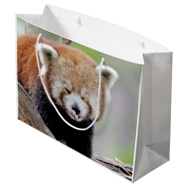 Gift Bag Photo red panda , animals 0272. (Back Angled)