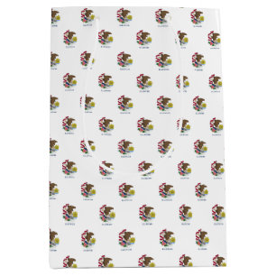 Gift Bag with flag of Illinois State, USA