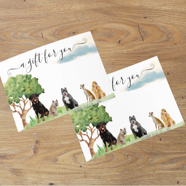 Gift Certificate Dog Training Pet Sitting Walking (Creator Uploaded)