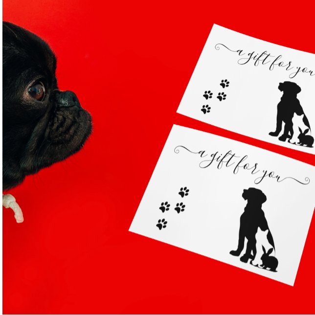 Gift Certificate Pet Veterinarian Boarding  (Creator Uploaded)